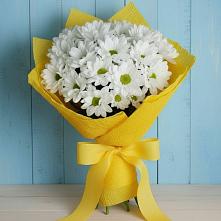 Букет цветов из:  Хризантемы в Орше