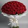 Букет 101 Красная роза Блэк Мэджик в Орше