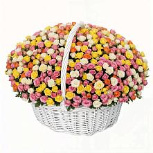 Премиум букет из: Розы #REPLACE_PRED# Орше