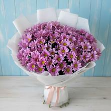Букет цветов из:  Хризантемы #REPLACE_PRED# Орше