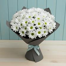 Букет цветов из:  Хризантемы в Орше