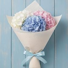 Букет цветов из:  Гортензия в Орше