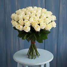 Букет 51 Белая роза Эдлесс Лав #REPLACE_PRED# Орше