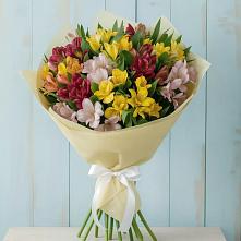 Букет цветов из:  Альстромерии в Орше