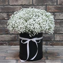Цветочная композиция из Гипсофила в шляпной коробке #REPLACE_PRED# Орше