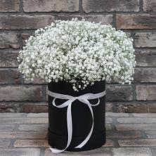 Цветочная композиция из Гипсофила в шляпной коробке в Орше