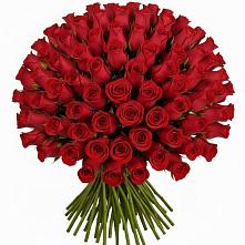 Букет Красные розы Чери Лав в Орше