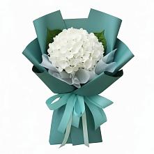 Букет цветов из:  Гортензия в Орше